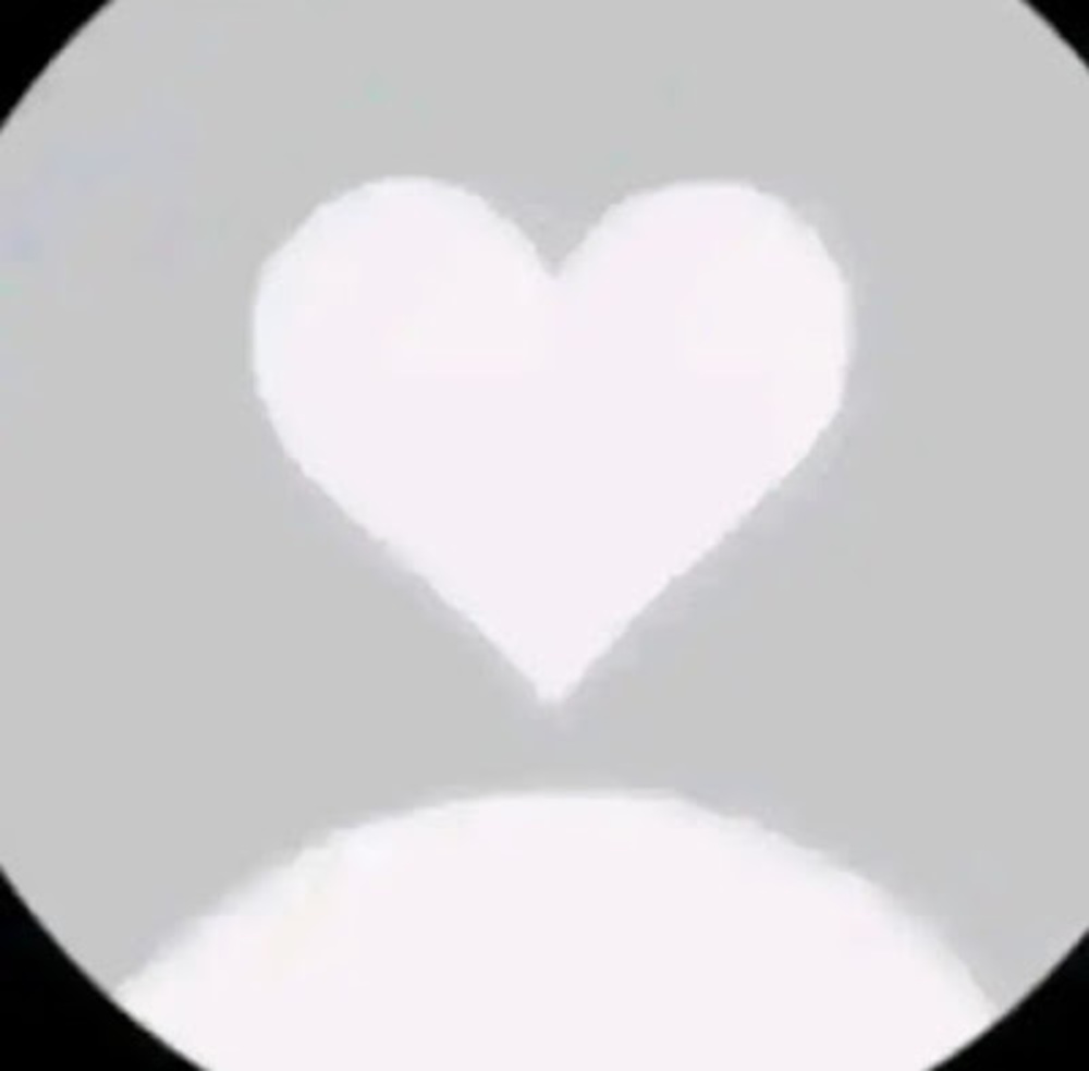 Meet your Posher, Yaninator